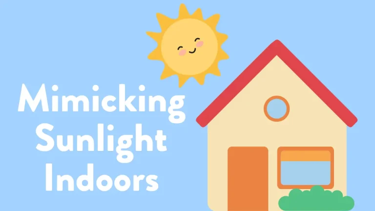 How to Mimic Full Spectrum Sunlight Indoors: The Guide