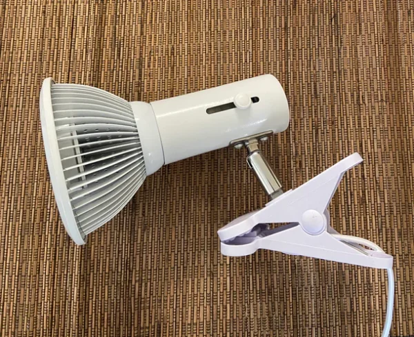 Bio_Bulb_Clip_610x_crop_center