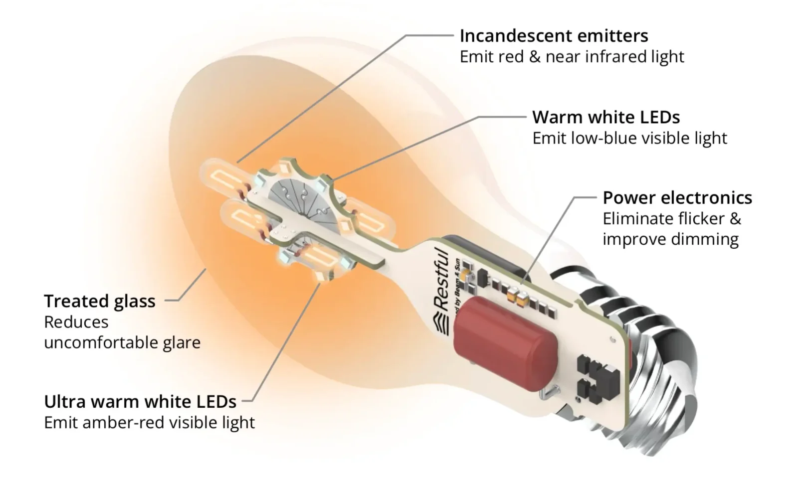 bedtime bulb internal diagram