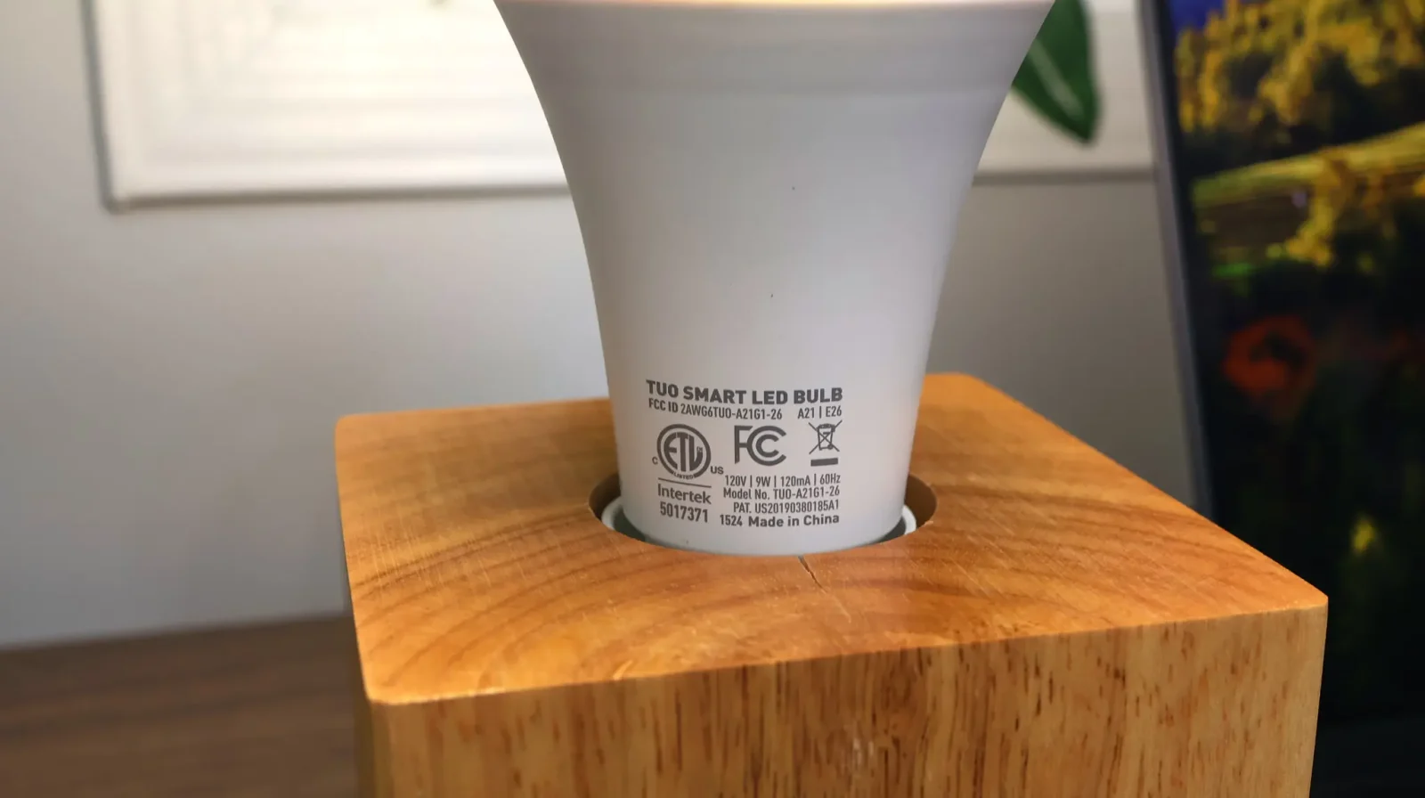 tuo front closeup of legal