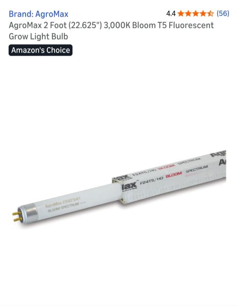 A close-up of an AgroMax 2-foot (22.625) 3,000K Bloom T5 fluorescent grow light bulb, showing its connectors and product labeling.