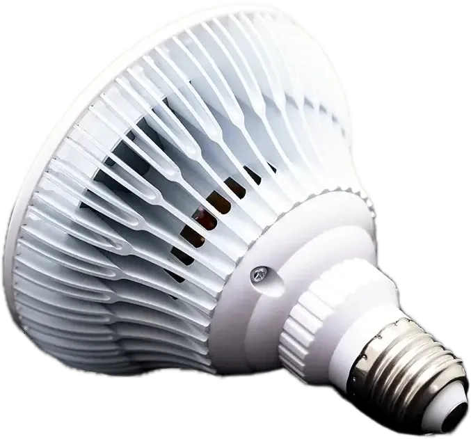 BioBulb
