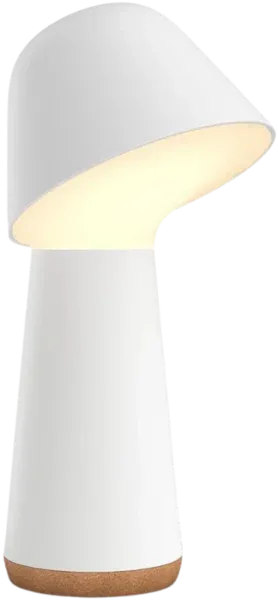 Philips Hue Twilight