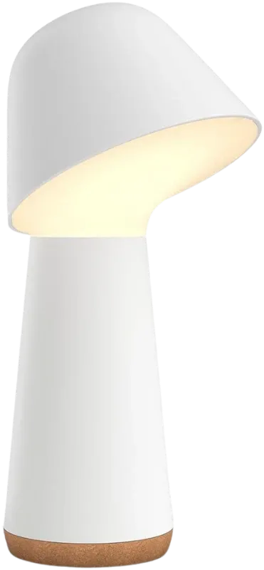 Philips Hue Twilight