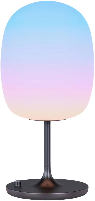 Sky-View 2 Pro